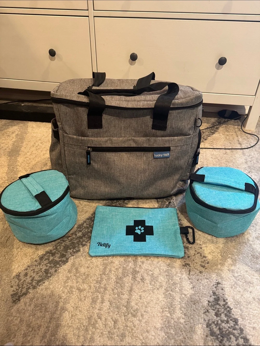 Gray & Teal Pet Travel Bag Set
